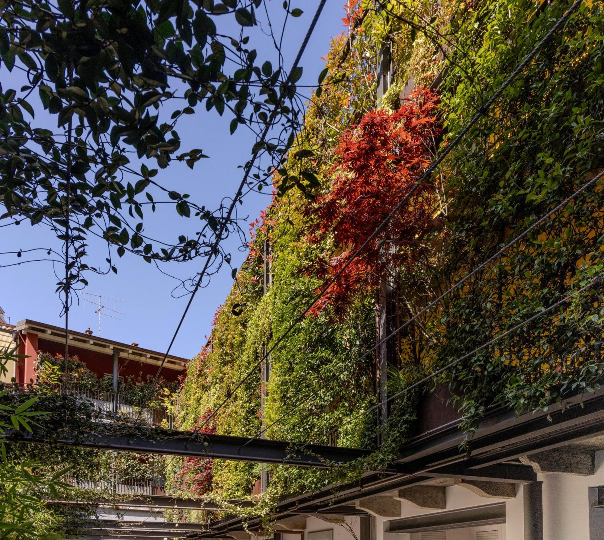 Residence Casa Coppa Appartamento Ivy オメーニャ エクステリア 写真